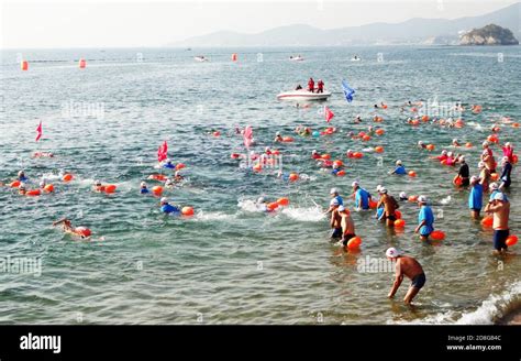 大連海邊游泳哪裏好：探索濱海風情，尋找最佳戲水天堂